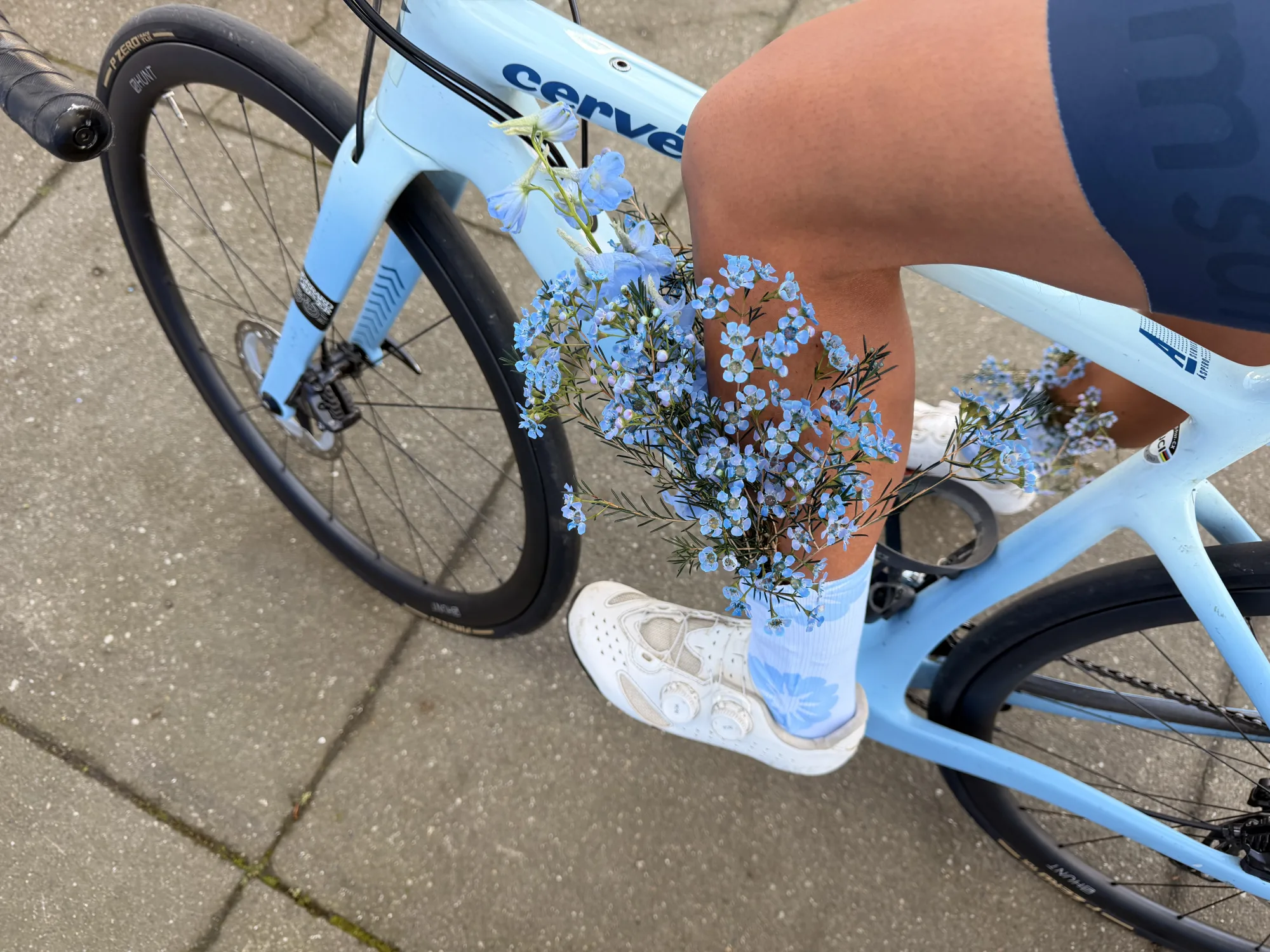 Samsara Cycles SS26 florals